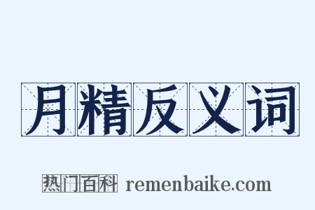 月精反义词是什么意思的图片